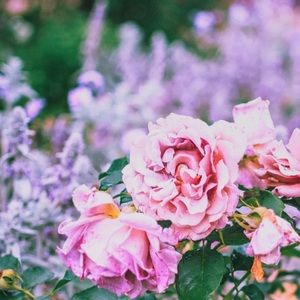 I AM VERY OPEN TO TRADES